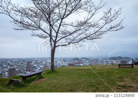 日本の鳥取県米子市の米子城跡のとても美しい風景 113128600