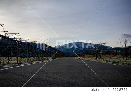 春の夜明けの空と農道 春の夜明けの空と農道 113128751