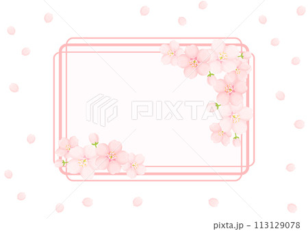 桜の花の背景 113129078