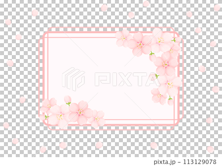 桜の花の背景 113129078
