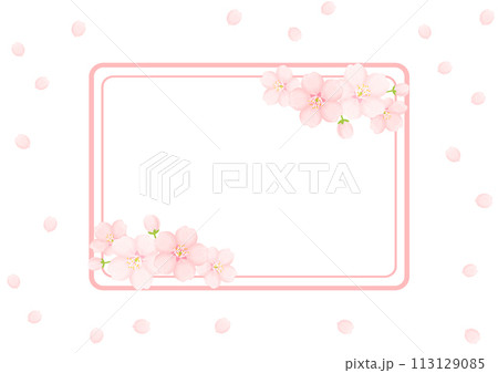 桜の花の背景 桜の花の背景 113129085