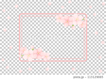桜の花の背景 桜の花の背景 113129085