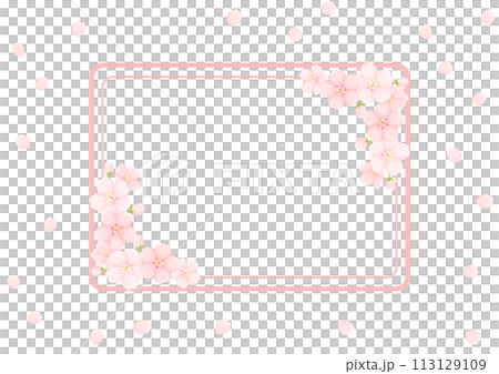 桜の花の背景 113129109