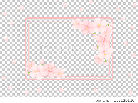 櫻花背景 113129110