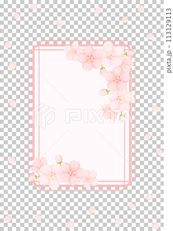 Cherry blossom background 113129113