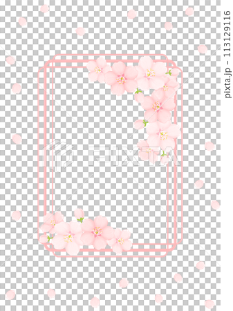 櫻花背景 113129116