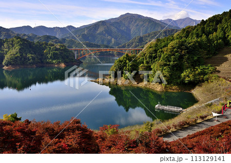 秋の宮ヶ瀬湖　紅葉の丹沢山地 113129141