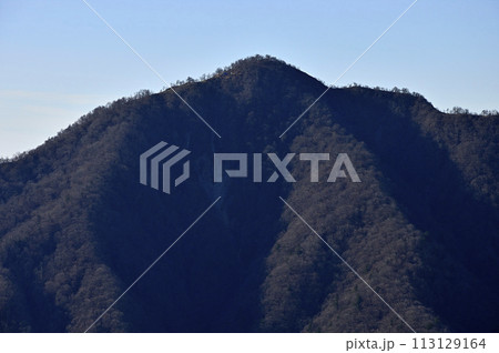 丹沢の袖平山より望む檜洞丸 113129164