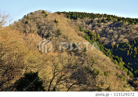 朝日を浴びる辺室山を望む 丹沢の大山三峰山より 朝日を浴びる辺室山を望む 丹沢の大山三峰山より 113129172