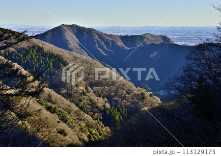 朝日の相州アルプスと東京スカイツリーを望む　丹沢の物見峠より 113129173