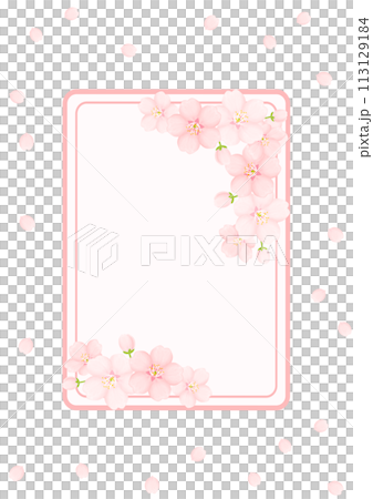櫻花背景 113129184