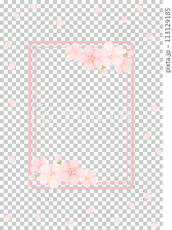 櫻花背景 113129185