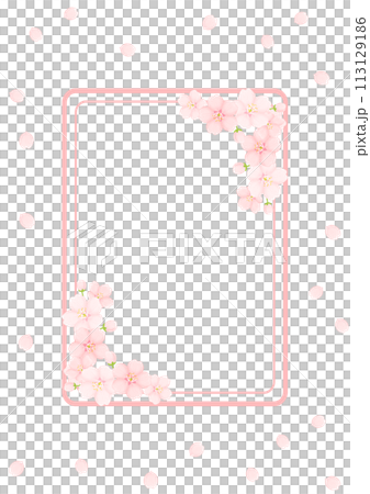 櫻花背景 113129186