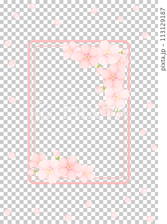 櫻花背景 113129187