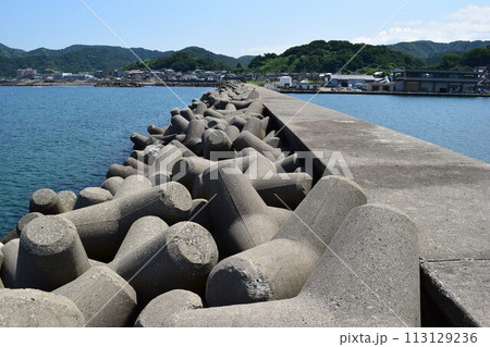 海岸の波消しブロック 113129236