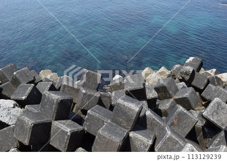 海岸の波消しブロック 113129239