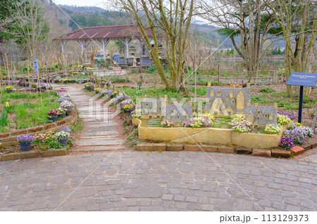 2024年　春のローザンベリー多和田 113129373