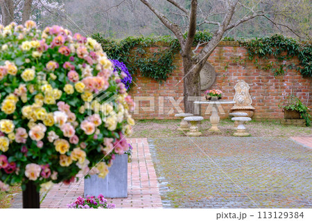 2024年　春のローザンベリー多和田 113129384