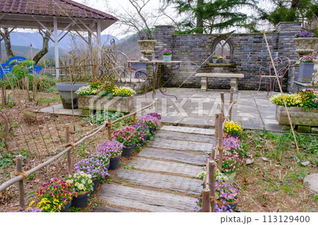 2024年　春のローザンベリー多和田 113129400