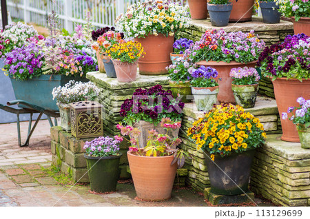 2024年 春のローザンベリー多和田 2024年 春のローザンベリー多和田 113129699