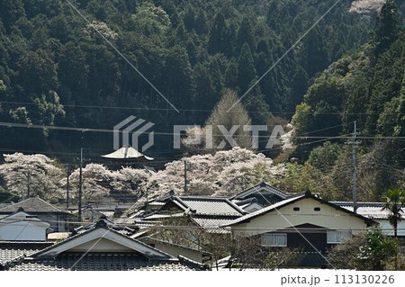 春の宇土観音 113130226