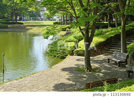 つくば中央公園　茨城県筑波市 113130698
