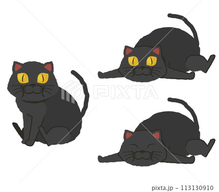 太った黒猫のセット 太った黒猫のセット 113130910