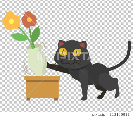 Black cat trying to knock over a vase 113130911