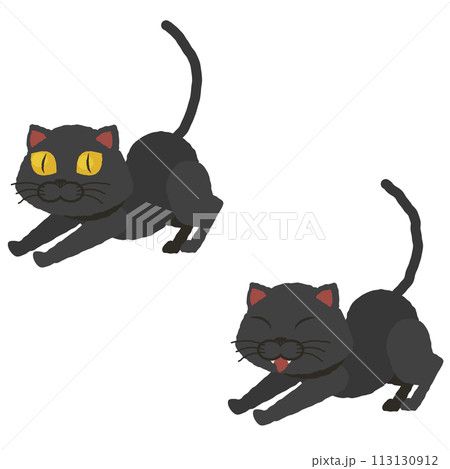 伸びをする黒猫 113130912
