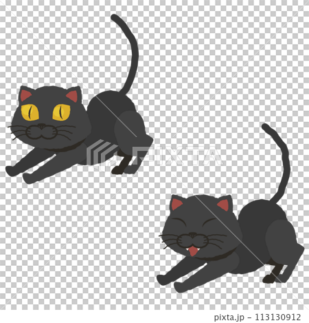 伸びをする黒猫 113130912
