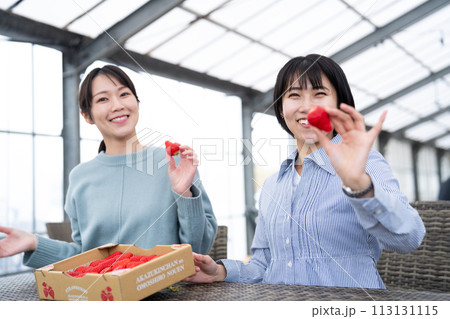 イチゴを食べる若い女性達 イチゴを食べる若い女性達 113131115
