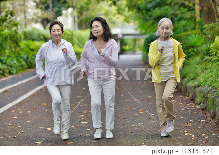 ウォーキングする3人のシニアの女性 113131321