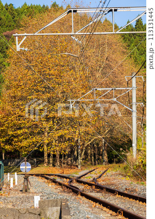 群馬県安中市の秋　紅葉のアプトの道 113131445