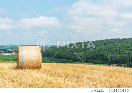 夏の北海道　北の大地と麦稈ロール（北海道イメージ） 113131489