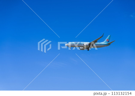 《飛行機》ボーイング Boeing 737NG > 737-800 113132154