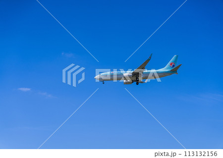《飛行機》ボーイング Boeing 737NG > 737-800 113132156