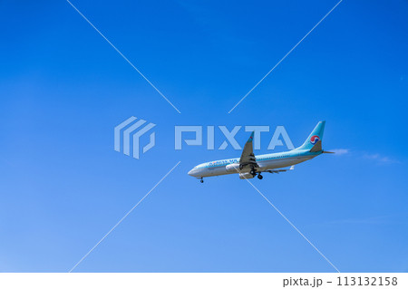 《飛行機》ボーイング Boeing 737NG > 737-800 113132158