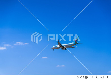 《飛行機》ボーイング Boeing 737NG > 737-800 113132161