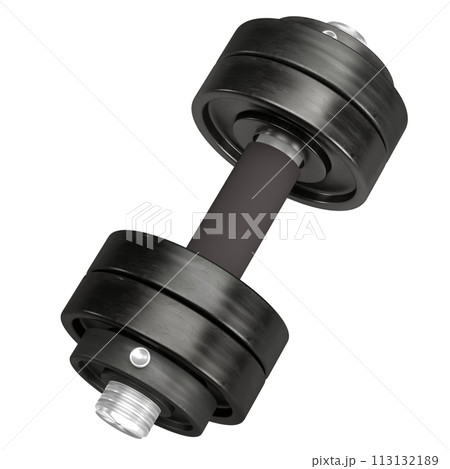The dumbbell png image for bodybuilding or gym concept 3d rendering. The dumbbell png image for bodybuilding or gym concept 3d rendering. 113132189