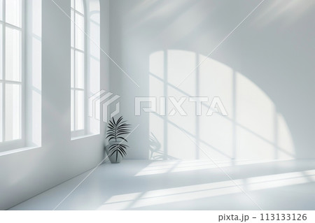A white wall with a tree branch casting a shadow on it 113133126