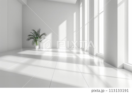A white wall with a tree branch casting a shadow on it 113133191