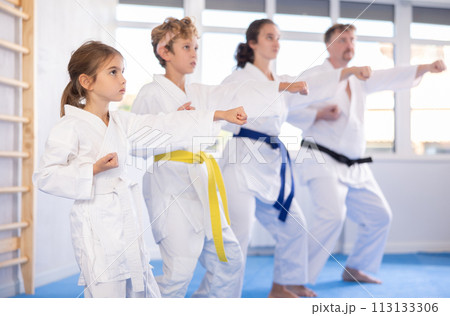 Children with parents during karate training. Martial arts. Sport, active lifestyle concept 113133306