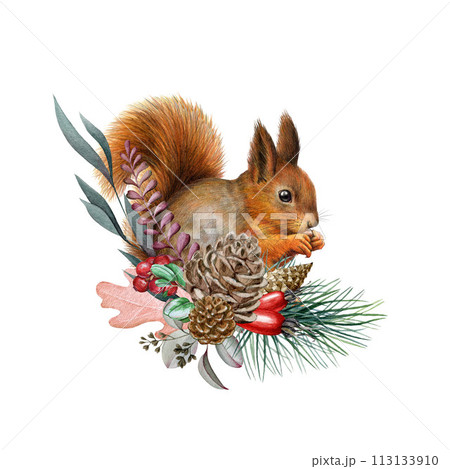 Natural floral decor with squirrel. Vintage style watercolor painted illustration. Cute red squirrel with pine, eucalyptus, berries nature element decoration. Forest animal decor. White background 113133910