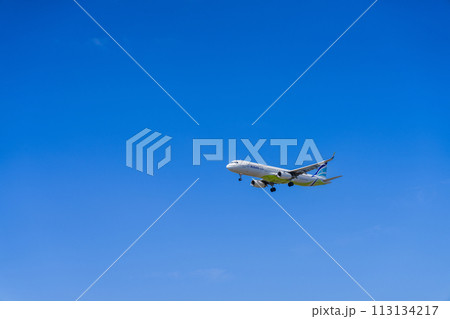 《飛行機》エアバス　Airbus A320ceo Family > A321 113134217