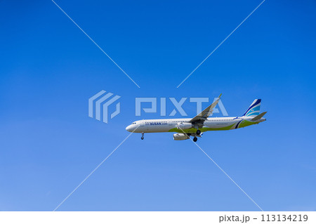 《飛行機》エアバス　Airbus A320ceo Family > A321 113134219