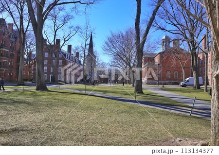 ハーバード大学の周辺 ハーバード大学の周辺 113134377