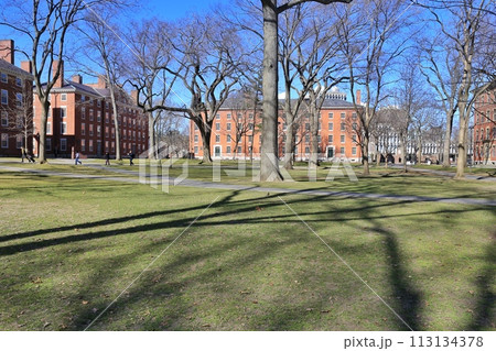 ハーバード大学の周辺 113134378