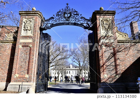 ハーバード大学の周辺 113134380