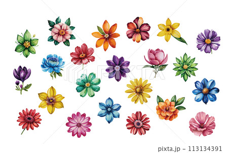 水彩画風の花のイラストセットのイラスト素材 [113134391] - PIXTA