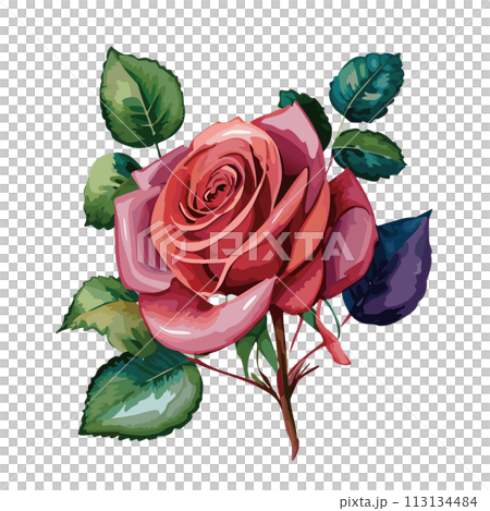 一朵紅色玫瑰花例證 113134484